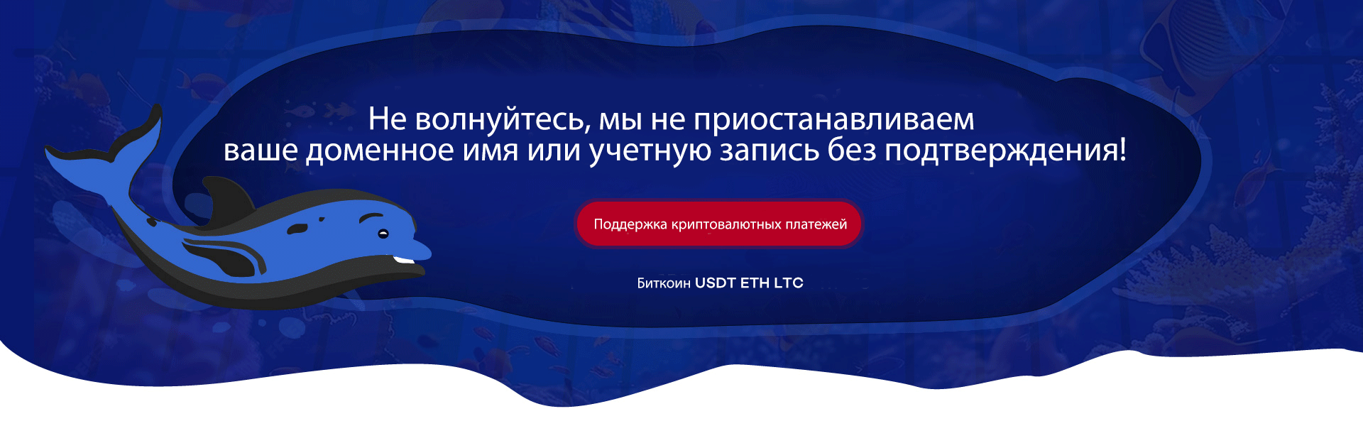 Не волнуйтесь, we will NOT suspend Твой Доменное имя  Или account without proofs!